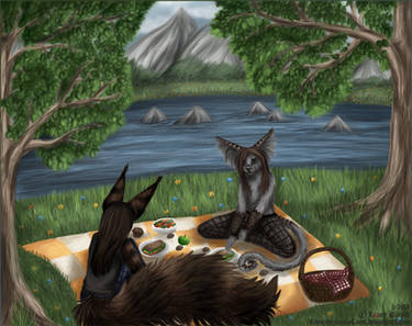 Picnic on a lake island