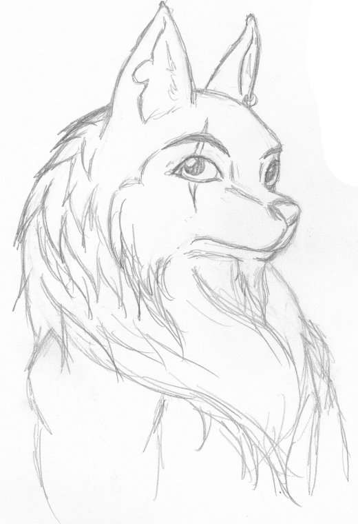 Anthro Wolf Head