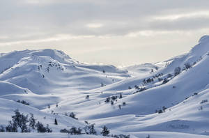 Snowy mountains by zipfileART