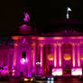 The Pinky Palace - Le Grand Palais - Paris