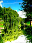 Upside Down Nature Silhouettes by Cloudwhisperer67