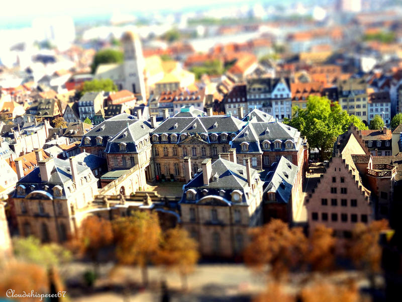 Palais des Rohan, Strasbourg - tiltshift