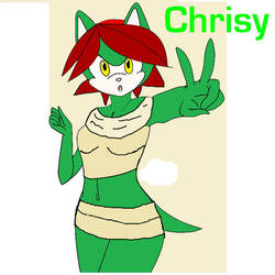 Chrisy the Hedgehog