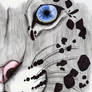 Snow Leopard-