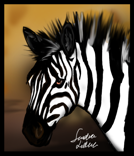 Zebra