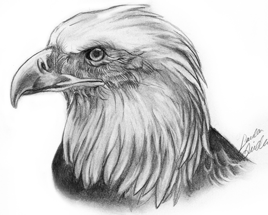 Eagle