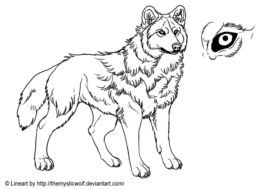 :Wolf Lineart: