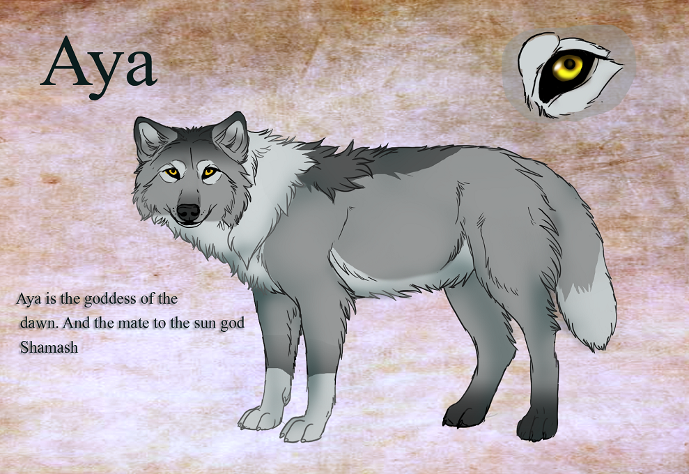 Aya ref