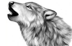 Howling Heart