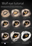 Wolf eye tutorial