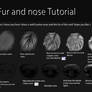 Nose and fur Tutorial