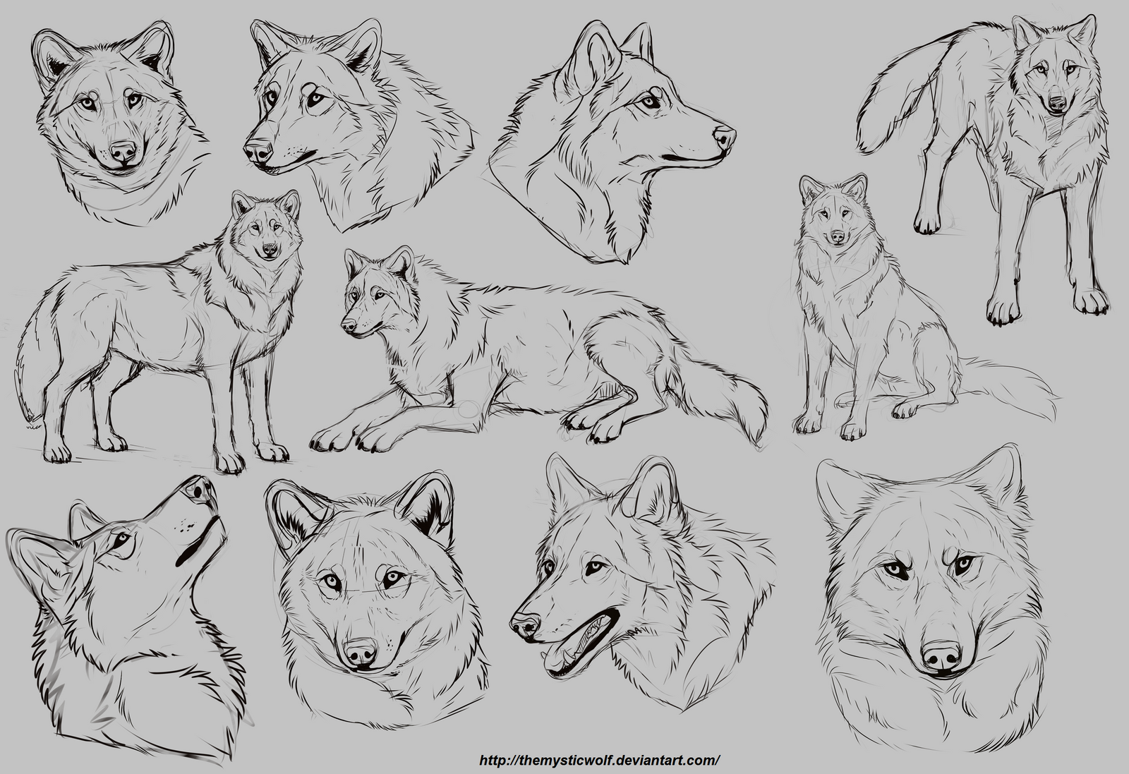 Wolf studies by TheMysticWolf on DeviantArt