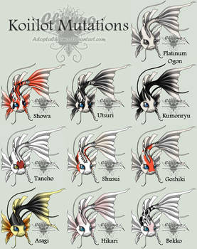 Koiilot mutation chart