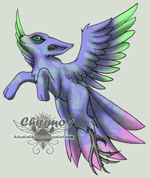 barbaro29: shinja