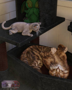 KDS - Storm and Munchkin