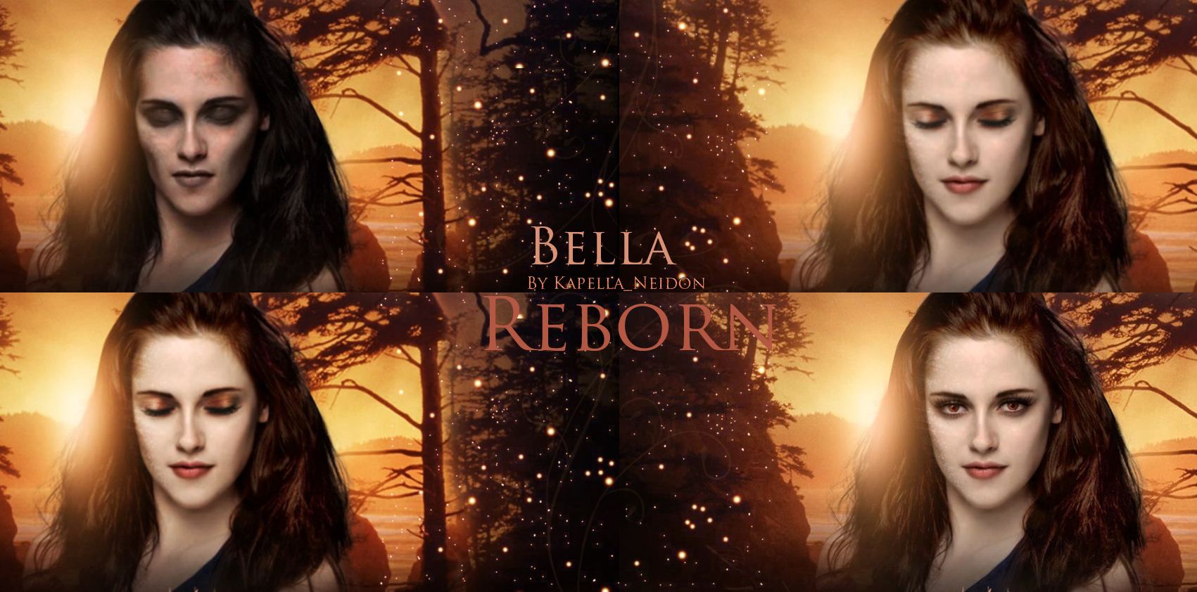 Bella Reborn