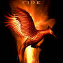 Catching fire poster