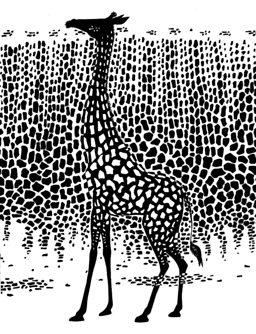 A Giraffe's Spots