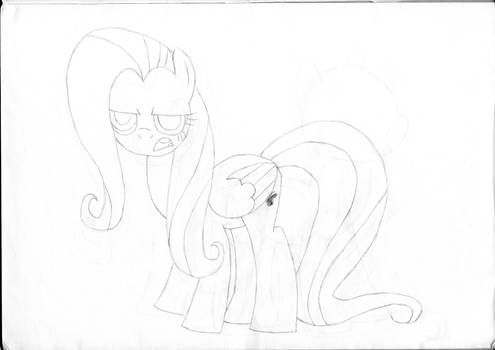 Fluttersketch, Really?