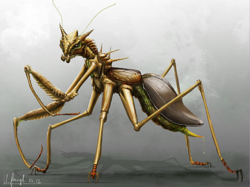 Alaris - Insect Creatures by SimonGangl on DeviantArt