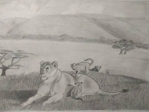 lioness cubs