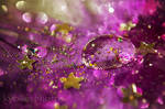 purple rain by kyokosphotos