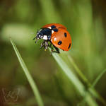 what are you waiting for? by kyokosphotos