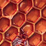 21. Bees - October Challenge