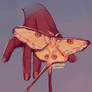 24. Moth - October Challenge