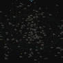 3D Stars Colonies Map - Old Solar Neighborhood