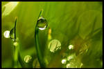 Drops by abhinavsah