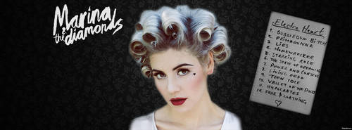 Electra Heart (Facebook Timeline)