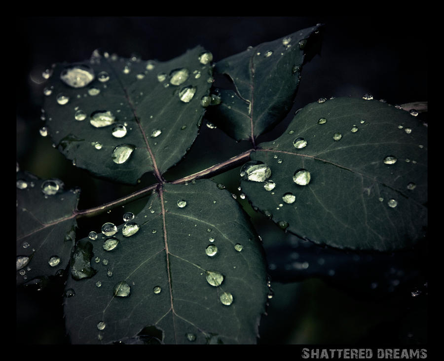 Shatter Spring shatter by celluloidfairy on DeviantArt