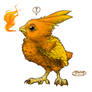 Torchic. Surprised!