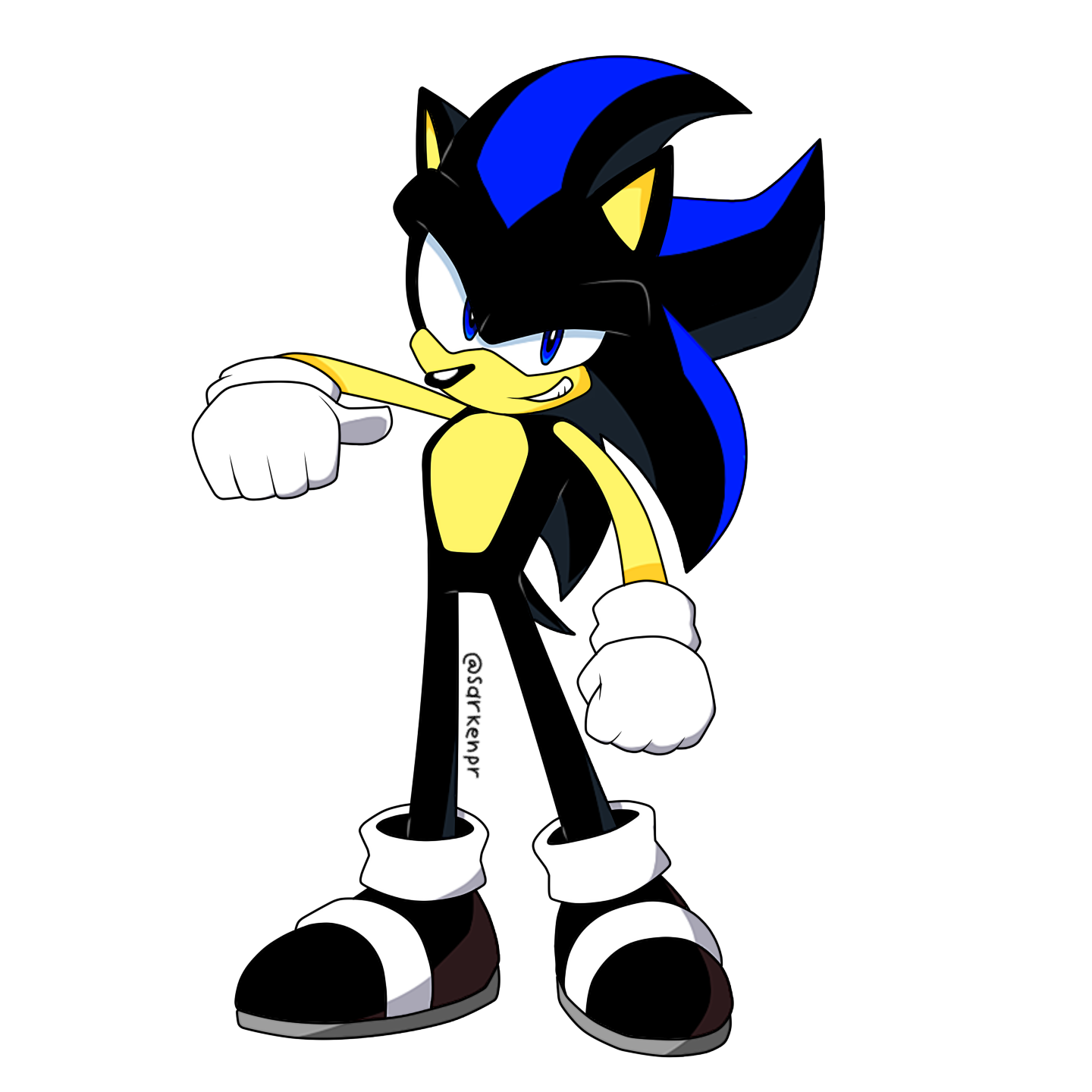 Seelkadoom the Hedgehog, SonicRPG Wiki