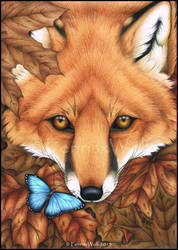 Flutter Fox by FenrisxWolf