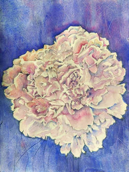 Peony