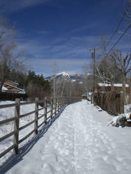 Snowy Trail