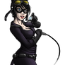 Gotham Girls- Catwoman