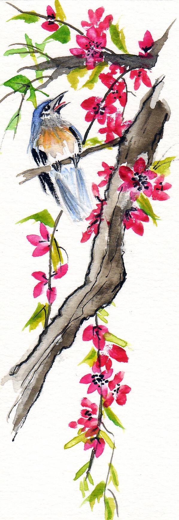 Chinese watercolor bird