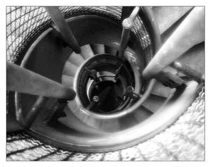 Eye of the Spiral Staircase