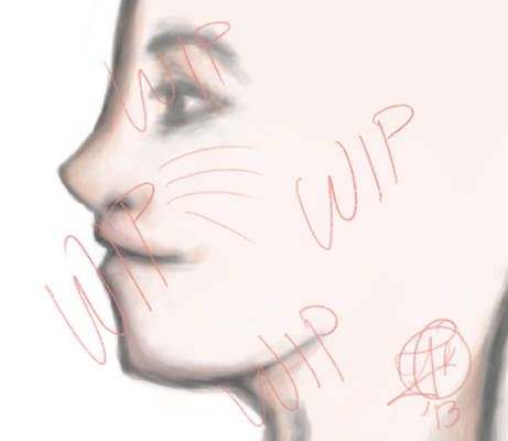 With A Face (WIP)