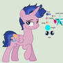 Mlp (next gen) lightning star