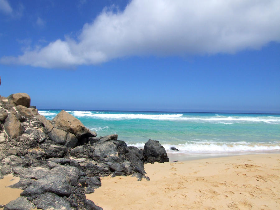 Empty Beach 4