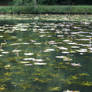 Pond 5