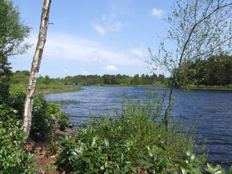 Lake view 1