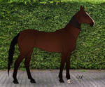 GOR Sayidat Almalakii by Oak-Horses
