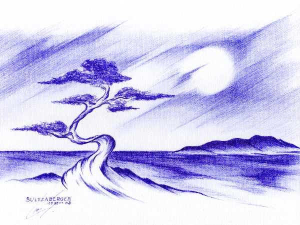 Bonsai Tree Seascape