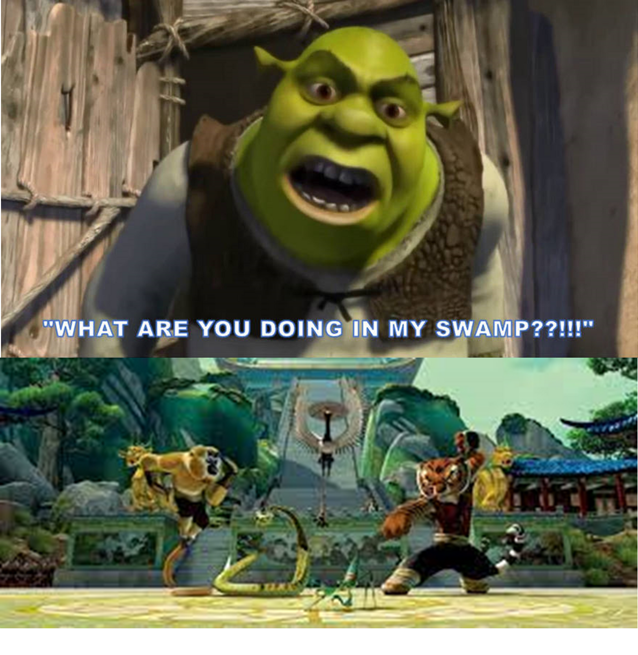 Furious Shrek Meme by TBroussard on DeviantArt