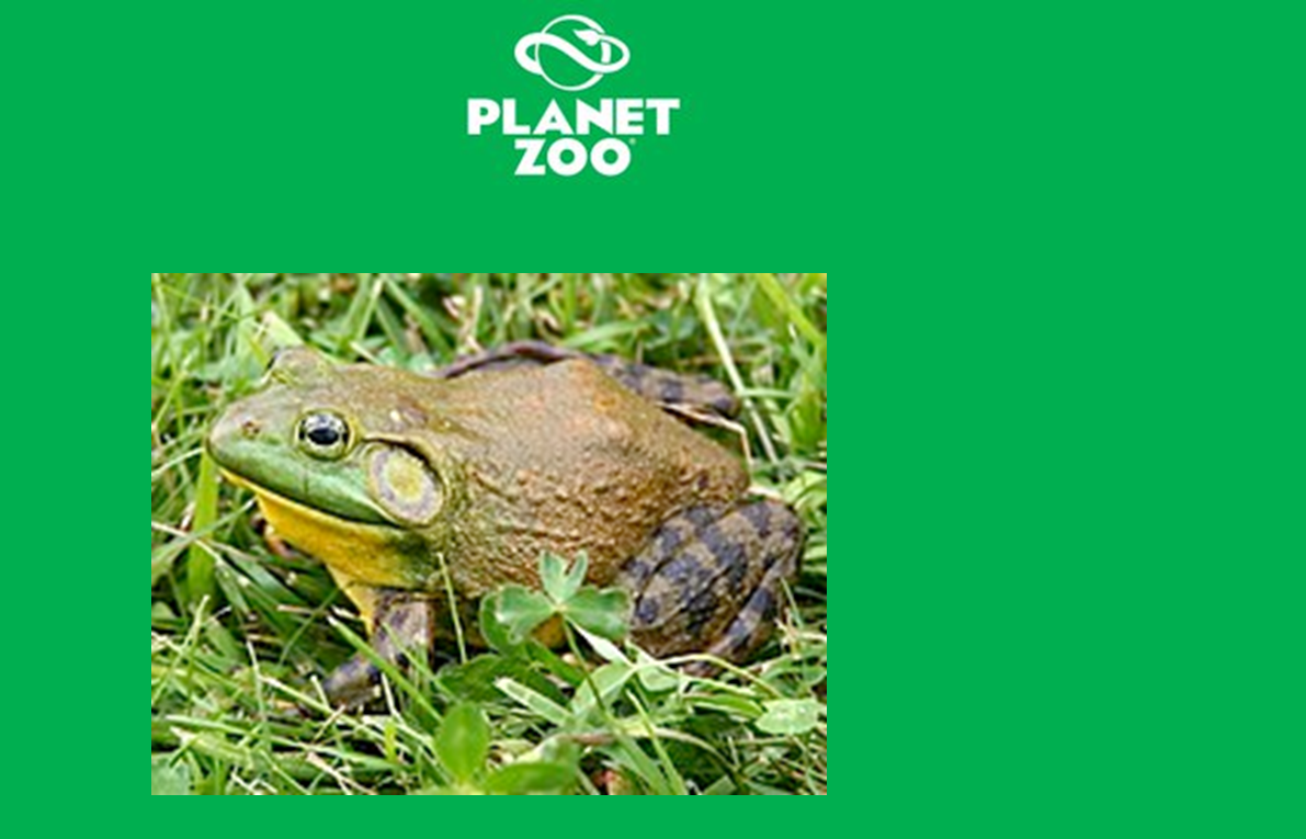 Planet Zoo American bullfrog by scottyiam on DeviantArt